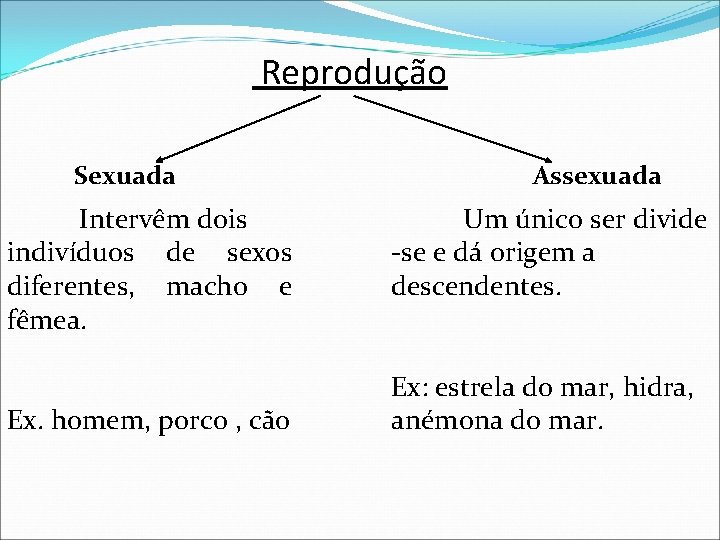 Reprodução Sexuada Intervêm dois indivíduos de sexos diferentes, macho e fêmea. Ex. homem, porco