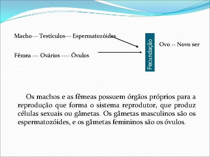 Fêmea --- Ovários ---- Óvulos Fecundação Macho--- Testículos--- Espermatozóides Ovo -- Novo ser Os