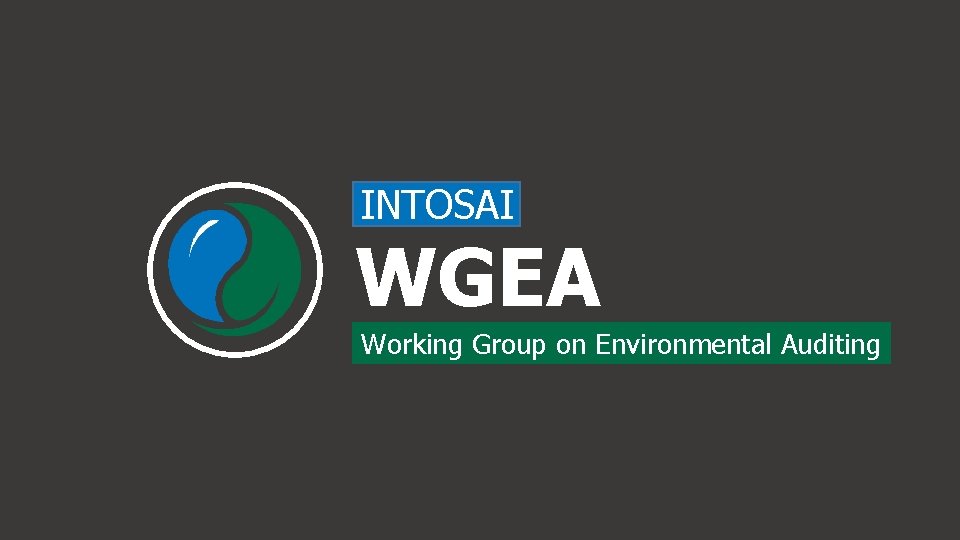 INTOSAI WGEA Working Group on Environmental Auditing 