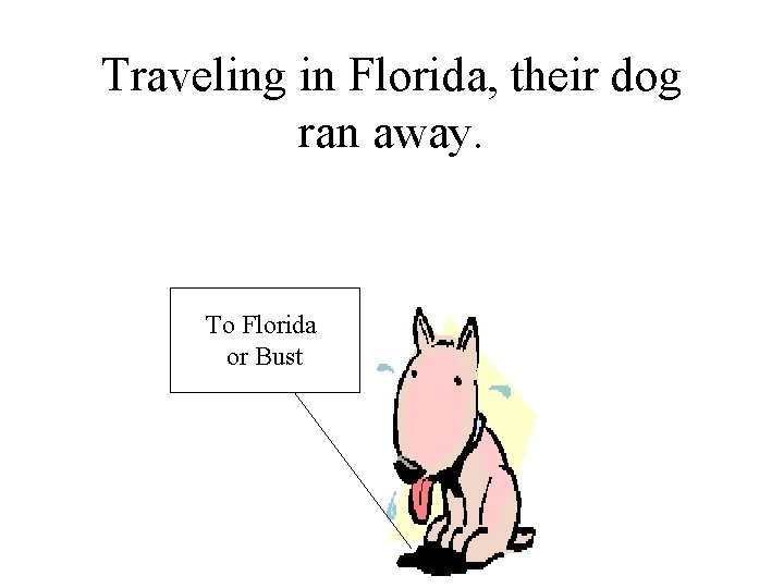 Traveling in Florida, their dog ran away. To Florida or Bust 