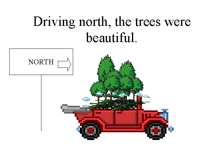 Driving north, the trees were beautiful. NORTH 