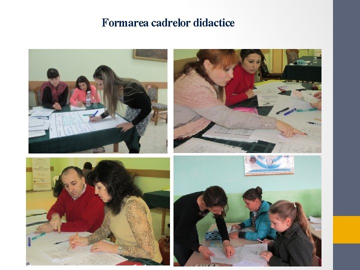 Formarea cadrelor didactice 