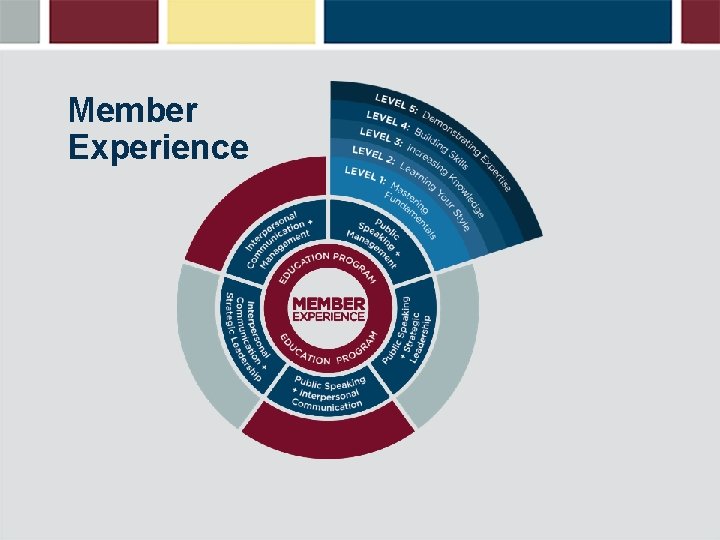 Member Experience 