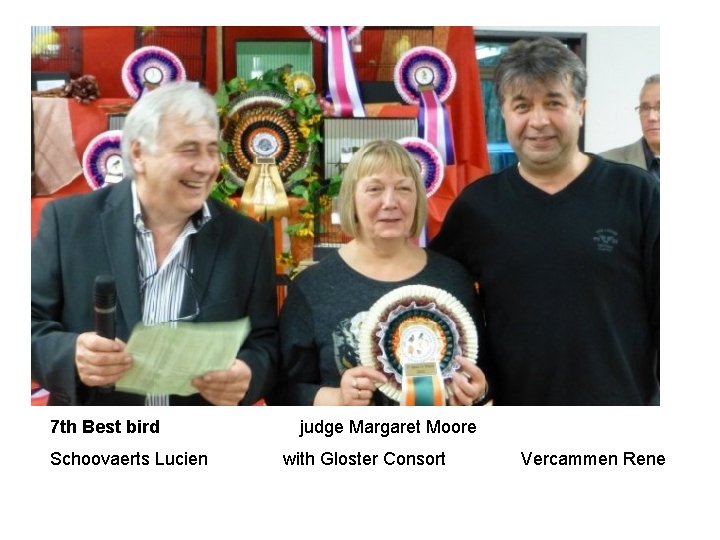 7 th Best bird Schoovaerts Lucien judge Margaret Moore with Gloster Consort Vercammen Rene