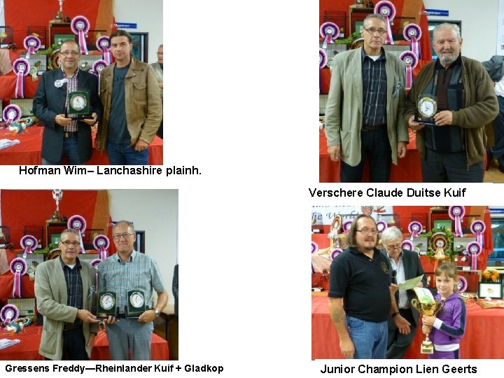 Hofman Wim– Lanchashire plainh. Verschere Claude Duitse Kuif Gressens Freddy—Rheinlander Kuif + Gladkop Junior