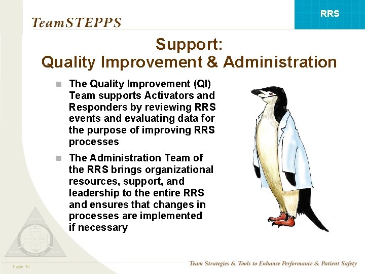 RRS Support: Quality Improvement & Administration n The Quality Improvement (QI) Team supports Activators