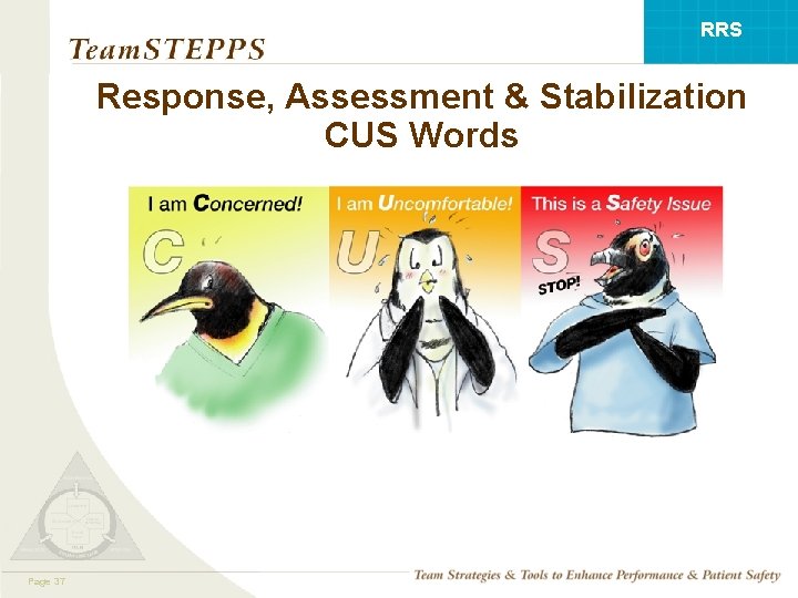 RRS Response, Assessment & Stabilization CUS Words Mod 137 Page 05. 2 Page 37