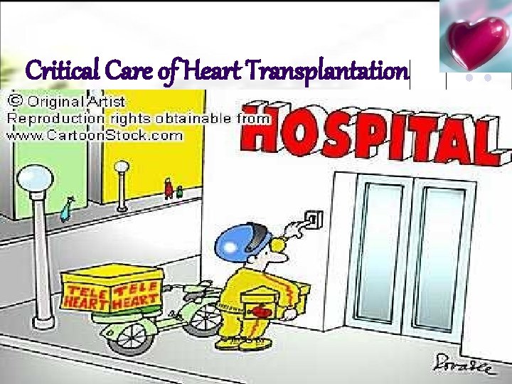 Critical Care of Heart Transplantation 12/3/2020 l. yekehfallah-phd student of nursing education 1 