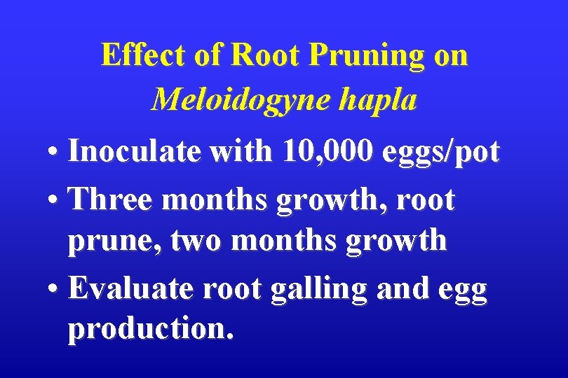 Effect of Root Pruning on Meloidogyne hapla • Inoculate with 10, 000 eggs/pot •
