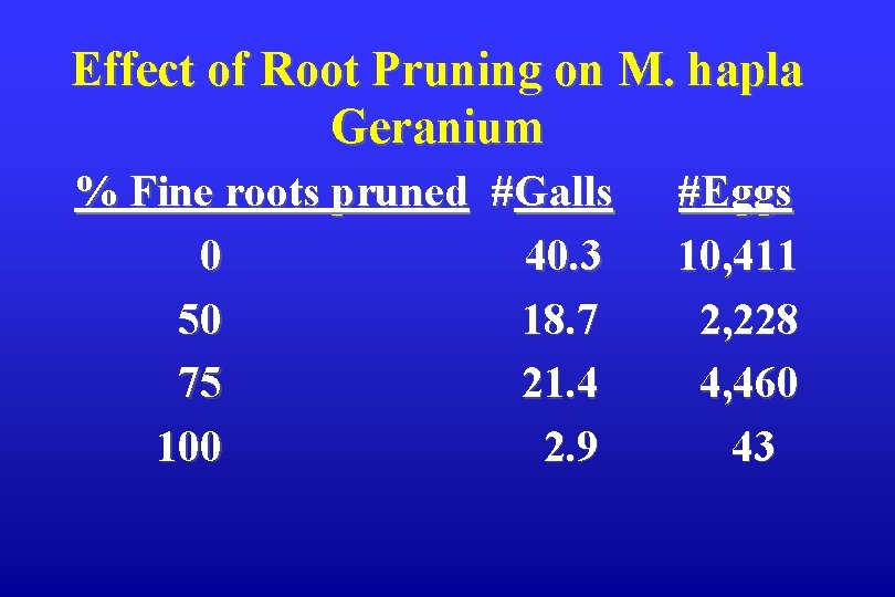 Effect of Root Pruning on M. hapla Geranium % Fine roots pruned #Galls 0