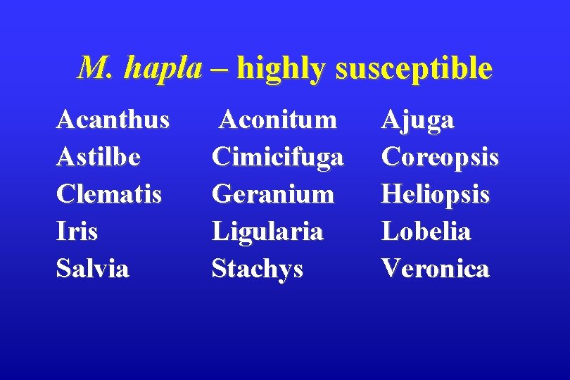 M. hapla – highly susceptible Acanthus Astilbe Clematis Iris Salvia Aconitum Cimicifuga Geranium Ligularia