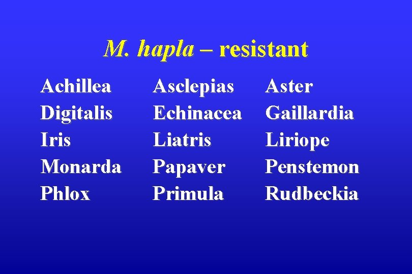 M. hapla – resistant Achillea Digitalis Iris Monarda Phlox Asclepias Echinacea Liatris Papaver Primula