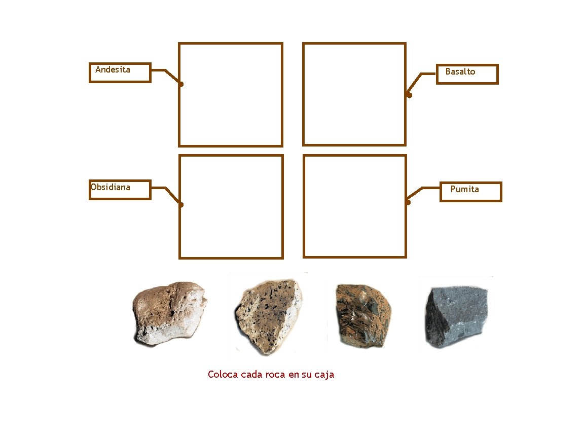 Andesita Basalto Obsidiana Pumita Coloca cada roca en su caja 