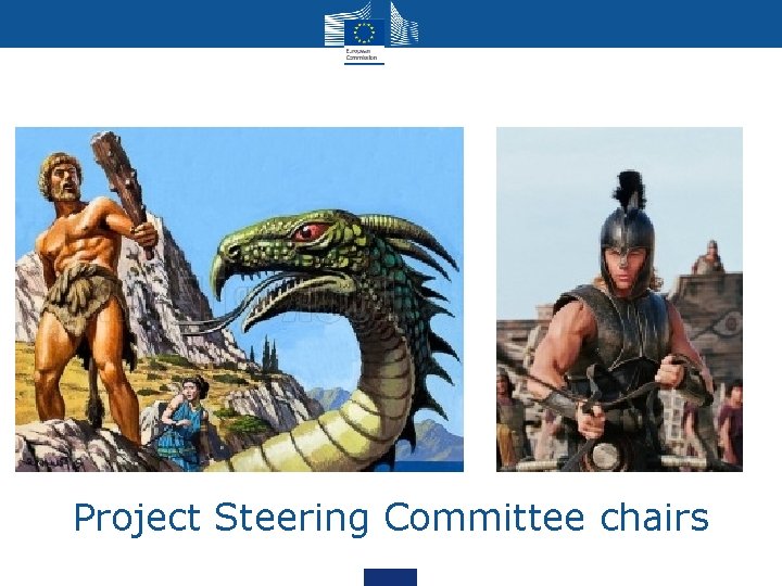Project Steering Committee chairs Project Steering Committee chairs