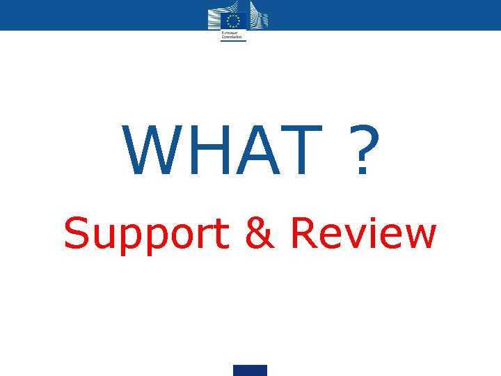 WHAT ? Support & Review WHAT ? Support & Review