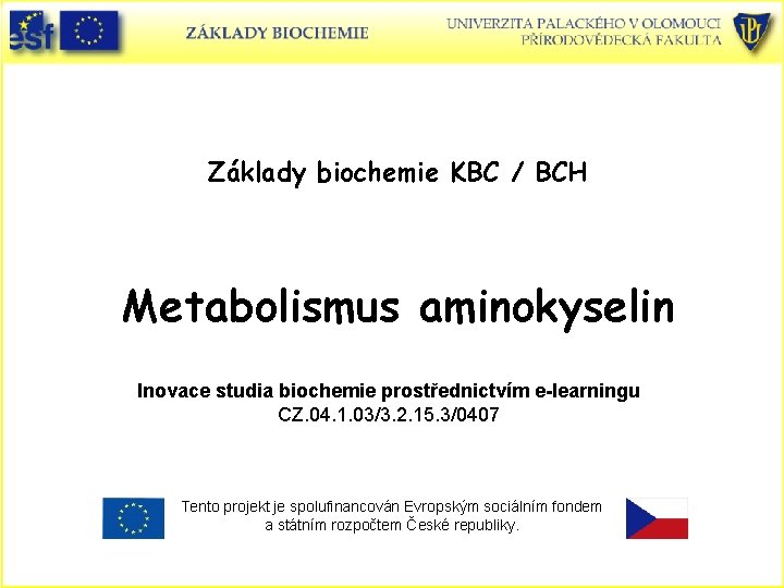 Základy biochemie KBC / BCH Metabolismus aminokyselin Inovace studia biochemie prostřednictvím e-learningu CZ. 04.