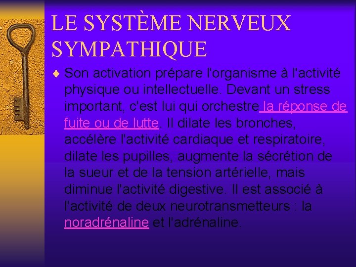 LE SYSTÈME NERVEUX SYMPATHIQUE ¨ Son activation prépare l'organisme à l'activité physique ou intellectuelle.