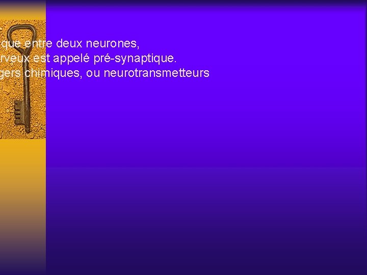 ique entre deux neurones, rveux est appelé pré-synaptique. gers chimiques, ou neurotransmetteurs 