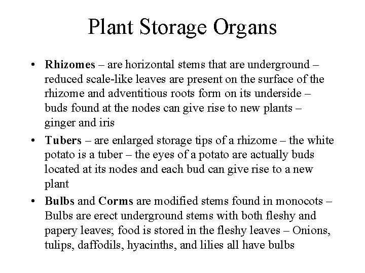 Plant Storage Organs • Rhizomes – are horizontal stems that are underground – reduced