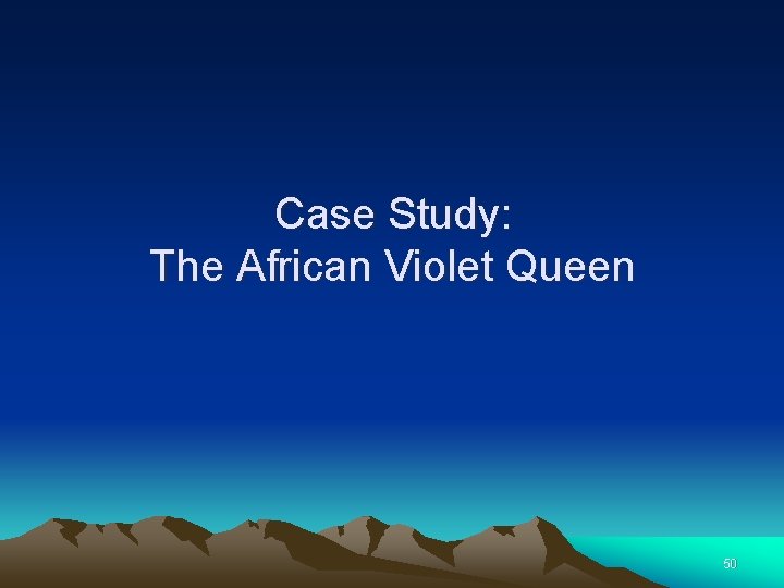 Case Study: The African Violet Queen 50 