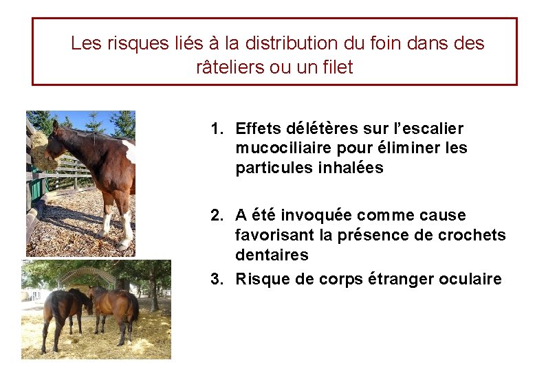 Les risques liés à la distribution du foin dans des râteliers ou un filet