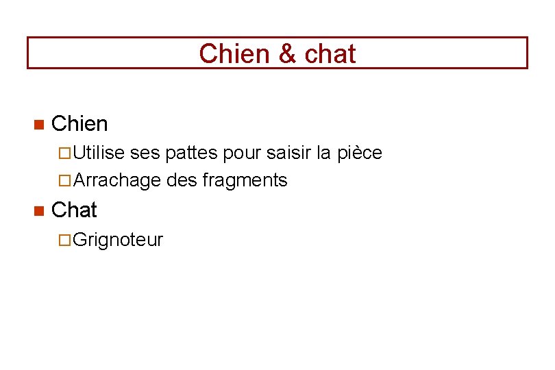 Chien & chat n Chien ¨ Utilise ses pattes pour saisir la pièce ¨