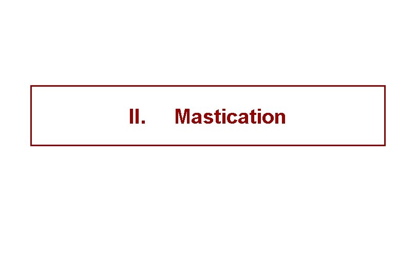 II. Mastication 