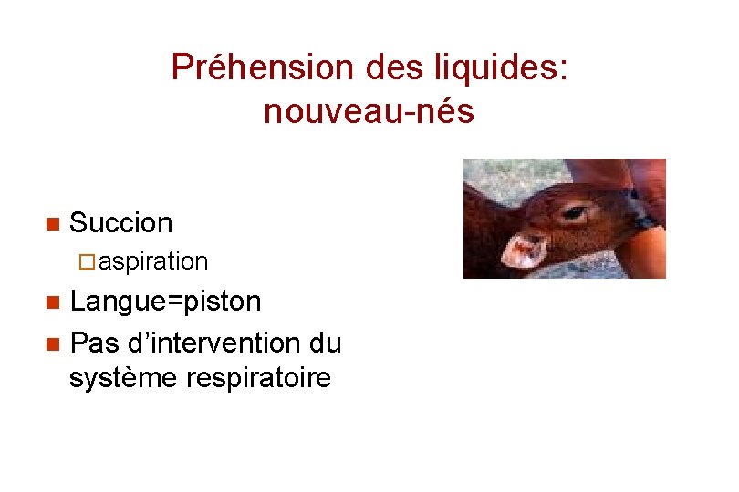 Préhension des liquides: nouveau-nés n Succion ¨ aspiration Langue=piston n Pas d’intervention du système