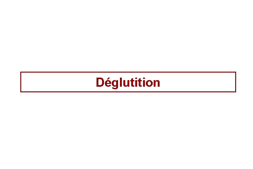 Déglutition 