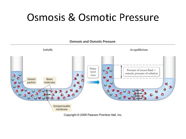 Osmosis & Osmotic Pressure Osmosis & Osmotic Pressure