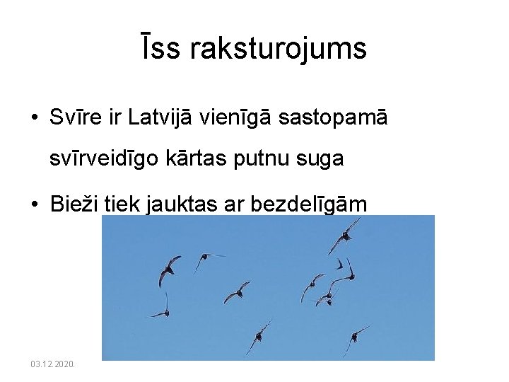 Īss raksturojums • Svīre ir Latvijā vienīgā sastopamā svīrveidīgo kārtas putnu suga • Bieži
