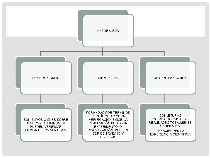 NATURALEZA SENTIDO COMÚN CIENTÍFICAS DE SENTIDO COMÚN SON SUPOSICIONES SOBRE HECHOS COTIDIANOS, SE PUEDEN