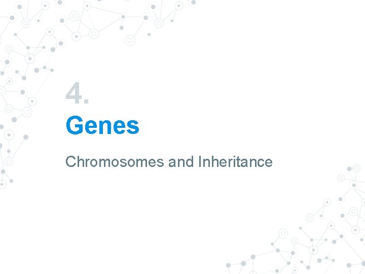4. Genes Chromosomes and Inheritance 4. Genes Chromosomes and Inheritance