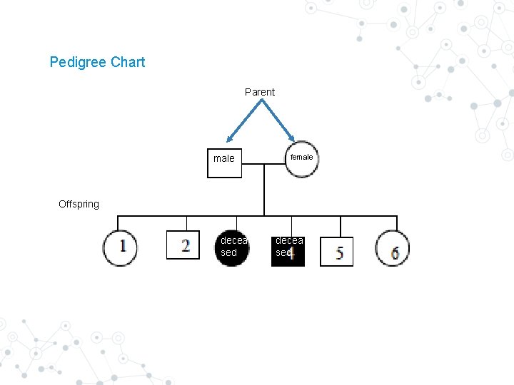 Pedigree Chart Parent male female Offspring decea sed Pedigree Chart Parent male female Offspring decea sed