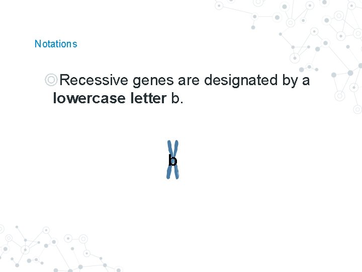 Notations ◎Recessive genes are designated by a lowercase letter b. b b Notations ◎Recessive genes are designated by a lowercase letter b. b b