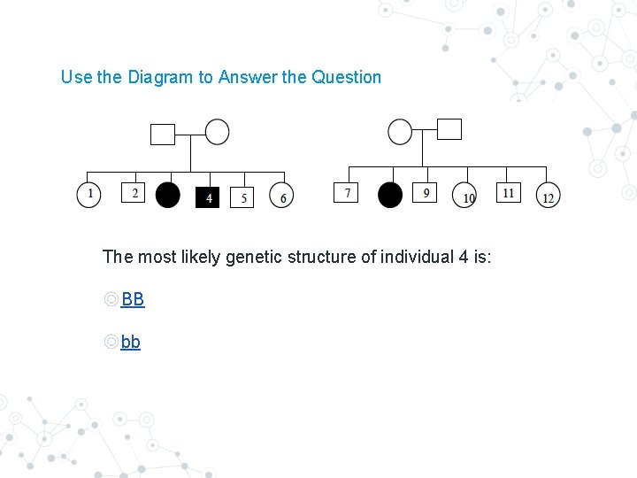 Use the Diagram to Answer the Question The most likely genetic structure of individual Use the Diagram to Answer the Question The most likely genetic structure of individual
