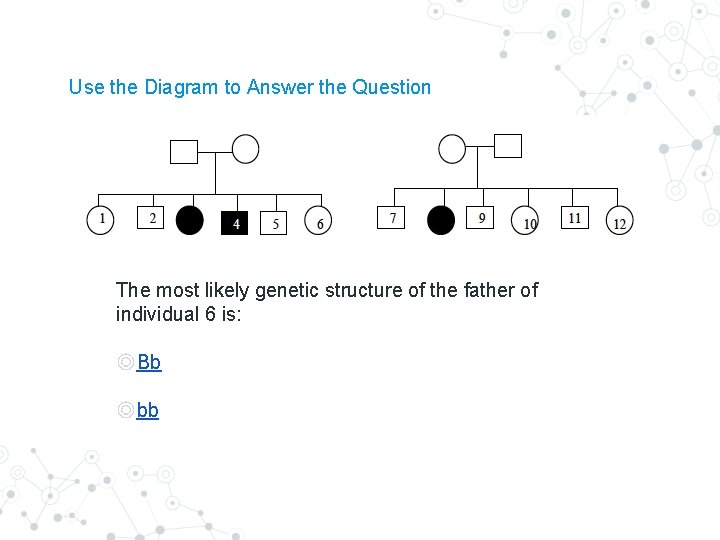 Use the Diagram to Answer the Question The most likely genetic structure of the Use the Diagram to Answer the Question The most likely genetic structure of the