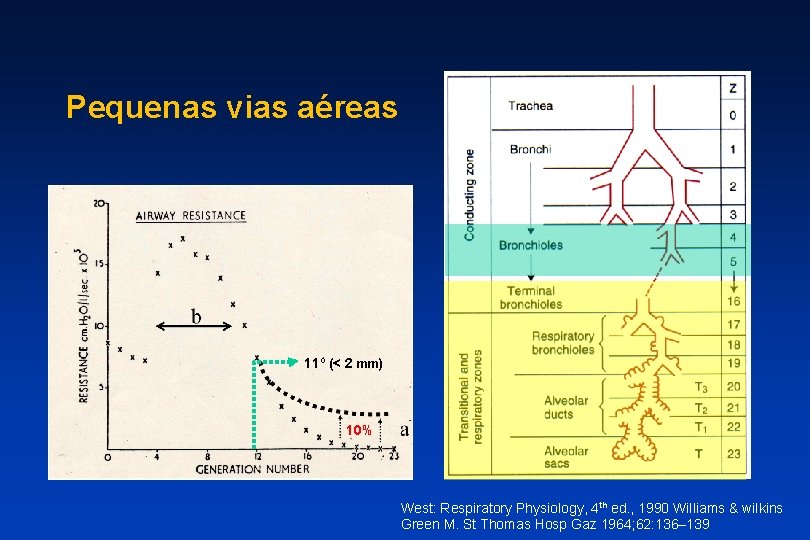 Pequenas vias aéreas 11º (< 2 mm) 10% West: Respiratory Physiology, 4 th ed.