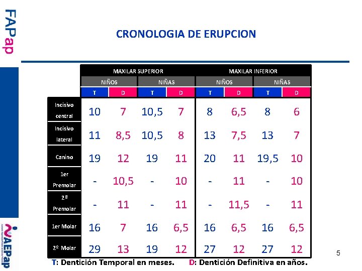 CRONOLOGIA DE ERUPCION MAXILAR SUPERIOR NIÑOS MAXILAR INFERIOR NIÑAS NIÑOS NIÑAS T D T