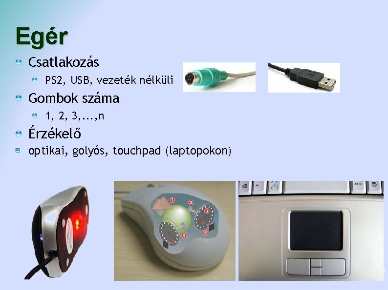 Egér Csatlakozás PS 2, USB, vezeték nélküli Gombok száma 1, 2, 3, . .