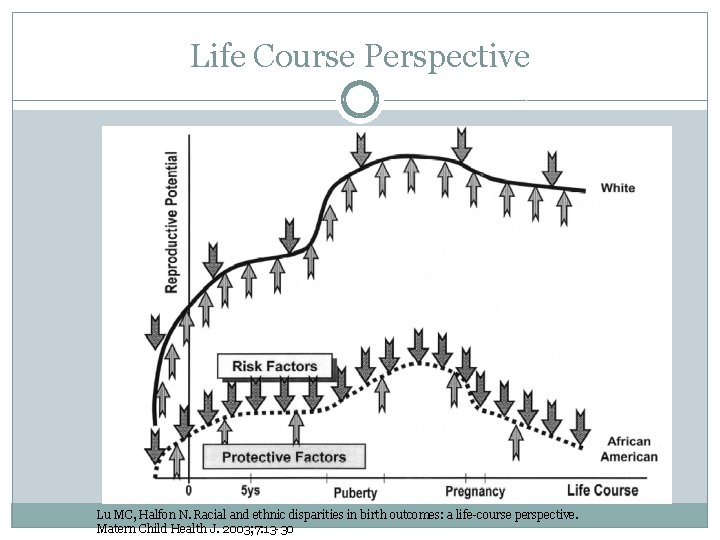 Life Course Perspective Lu MC, Halfon N. Racial and ethnic disparities in birth outcomes:
