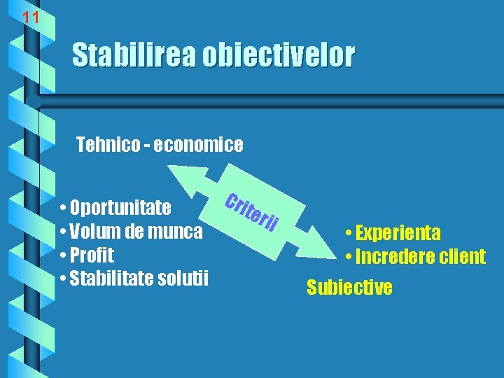 11 Stabilirea obiectivelor Tehnico - economice • Oportunitate • Volum de munca • Profit