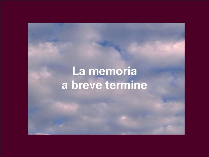 La memoria a breve termine 