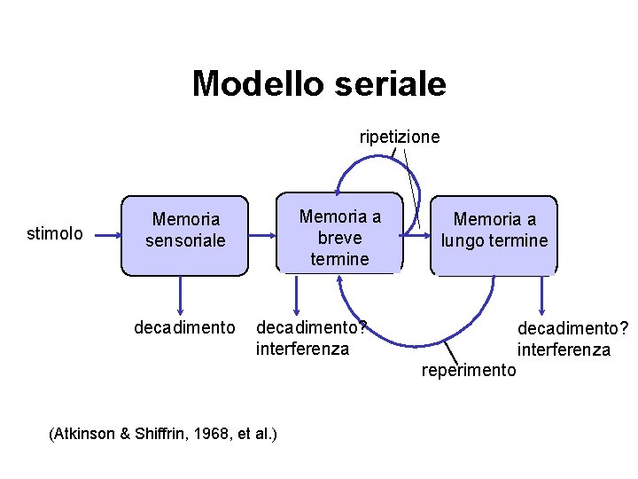 Modello seriale ripetizione stimolo Memoria a breve termine Memoria sensoriale decadimento Memoria a lungo