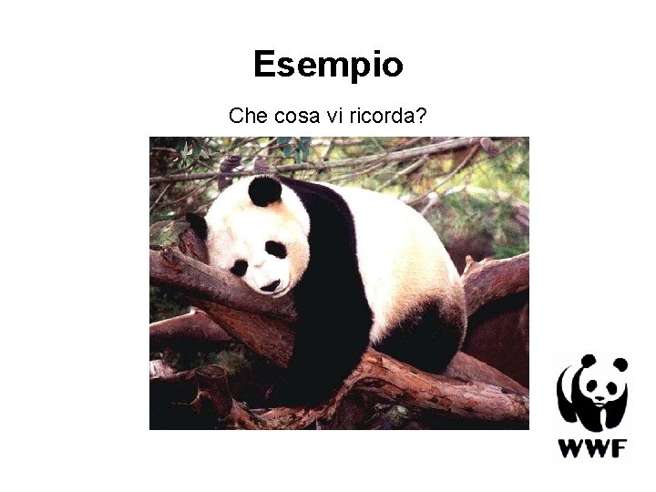 Esempio Che cosa vi ricorda? 