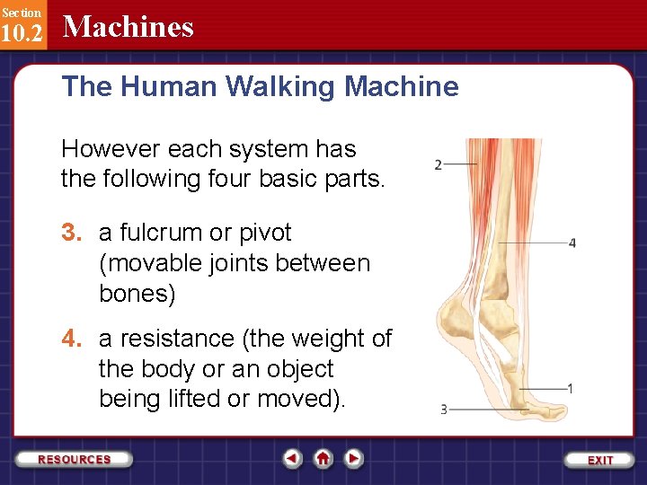 Section 10. 2 Machines The Human Walking Machine However each system has the following