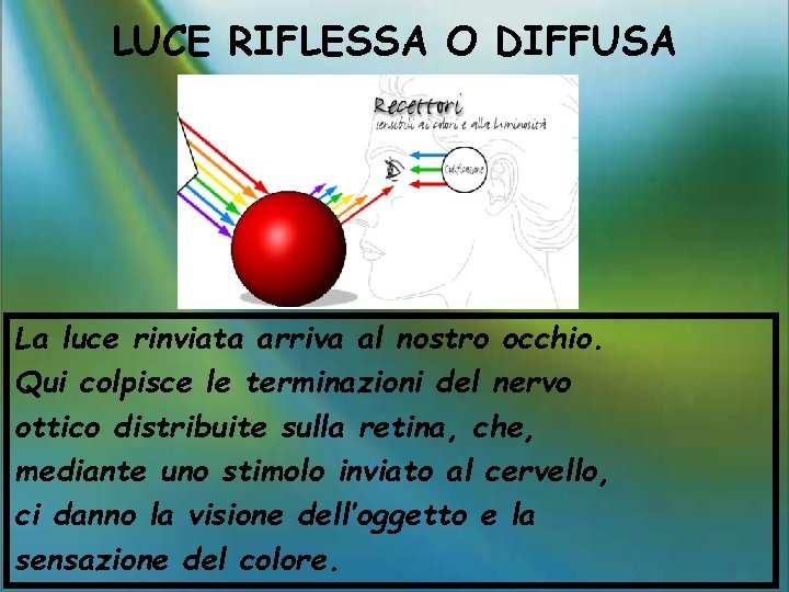 LUCE RIFLESSA O DIFFUSA La luce rinviata arriva al nostro occhio. Qui colpisce le