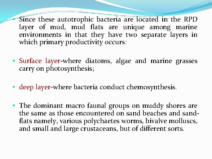 • Since these autotrophic bacteria are located in the RPD layer of mud,