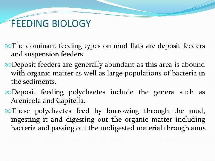FEEDING BIOLOGY The dominant feeding types on mud flats are deposit feeders and suspension FEEDING BIOLOGY The dominant feeding types on mud flats are deposit feeders and suspension