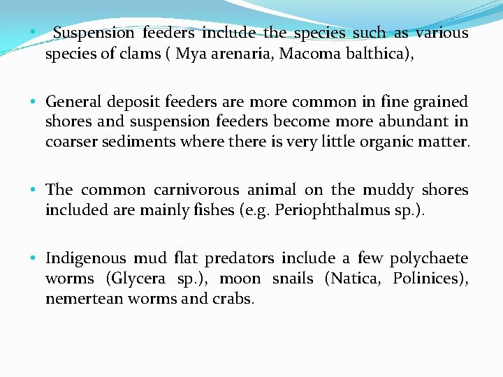  • Suspension feeders include the species such as various species of clams (